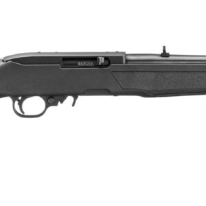 ruger 10 22 32000 736676320004 1.jpg