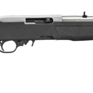 ruger 10 22 32004 736676320042.jpg