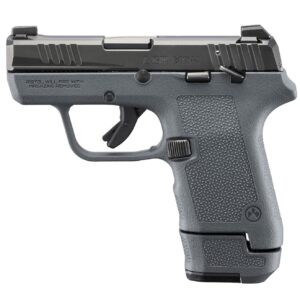 ruger lcp max 23702 736676237029.jpg
