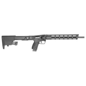 firearm, gun, handgun, rifle, shotgun, weapon